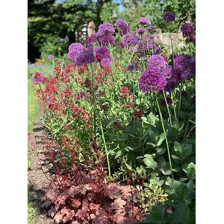 Art Nouveau Am דירה אשברג