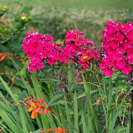 דירה Art Nouveau Am