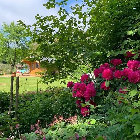 Art Nouveau Am אשברג