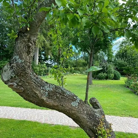 Art Nouveau Am * אשברג