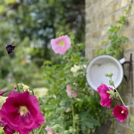 Art Nouveau Am אשברג