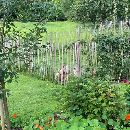 דירה Art Nouveau Am *