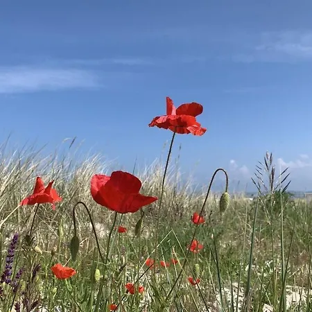 Art Nouveau Am דירה אשברג