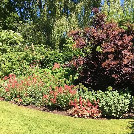 דירה Art Nouveau Am *